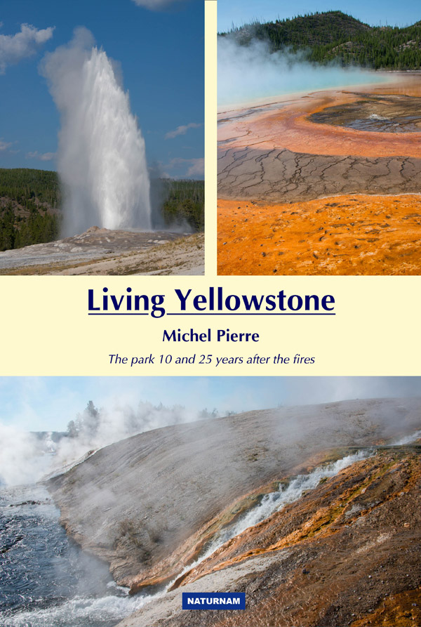 image-7423133-Living_Yellowstone_cover_ws.jpg