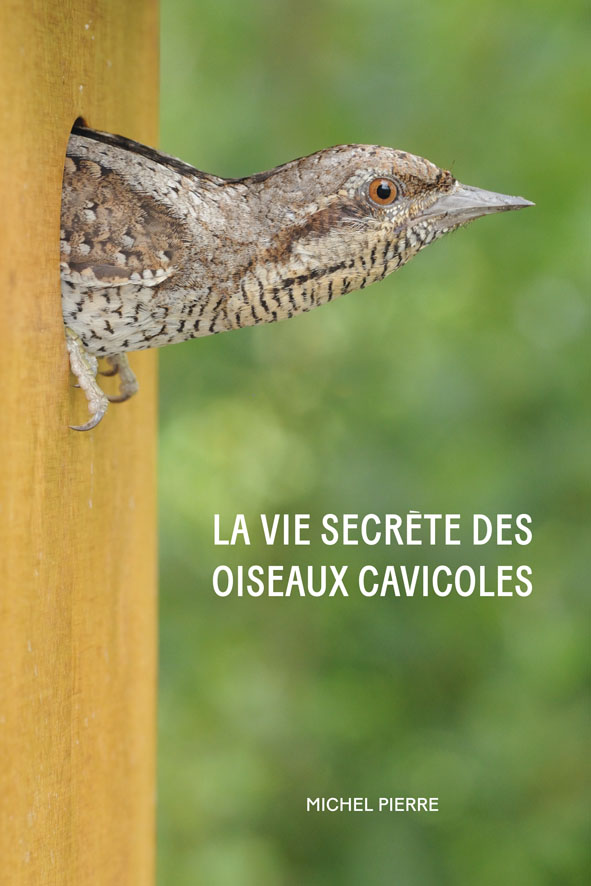 image-8536205-Oiseaux_cavicoles_couv_ws.jpg